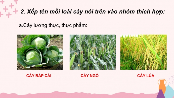 Giáo án điện tử Tiếng Việt 2 cánh diều Bài 21: Tiếng vườn