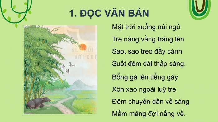 Giáo án điện tử Tiếng Việt 2 kết nối Bài 8: Luỹ tre