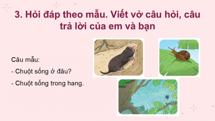 Giáo án điện tử Tiếng Việt 2 kết nối Bài 16: Mở rộng vốn từ về các loài vật nhỏ bé; Dấu chấm, dấu chấm hỏi