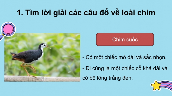 Giáo án điện tử Tiếng Việt 2 kết nối Ôn tập cuối học kì 2 (Tiết 5 + 6)