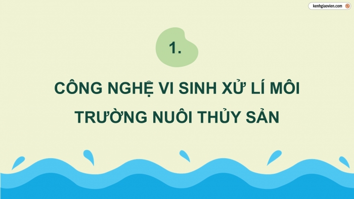 Giáo án điện tử chuyên đề Công nghệ 12 Lâm nghiệp Thuỷ sản Cánh diều Bài 7: Ứng dụng công nghệ sinh học xử lí môi trường nuôi thuỷ sản