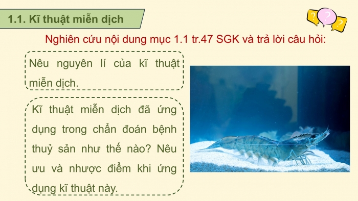 Giáo án điện tử chuyên đề Công nghệ 12 Lâm nghiệp Thuỷ sản Cánh diều Bài 8: Ứng dụng công nghệ sinh học trong chẩn đoán bệnh và sản xuất vaccine phòng bệnh thuỷ sản