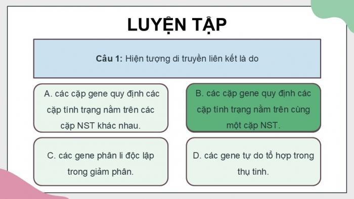 Giáo án điện tử KHTN 9 cánh diều - Phân môn Sinh học Bài tập (Chủ đề 11)