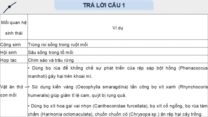 Giáo án điện tử chuyên đề Sinh học 12 chân trời Bài 6: Cơ sở khoa học và các biện pháp kiểm soát sinh học