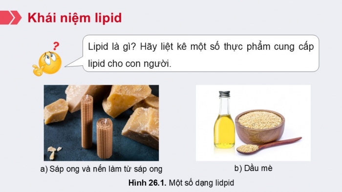 Giáo án điện tử KHTN 9 chân trời - Phân môn Hoá học Bài 26: Lipid và chất béo