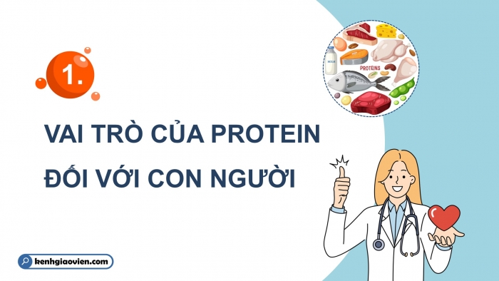 Giáo án điện tử KHTN 9 chân trời - Phân môn Hoá học Bài 29: Protein