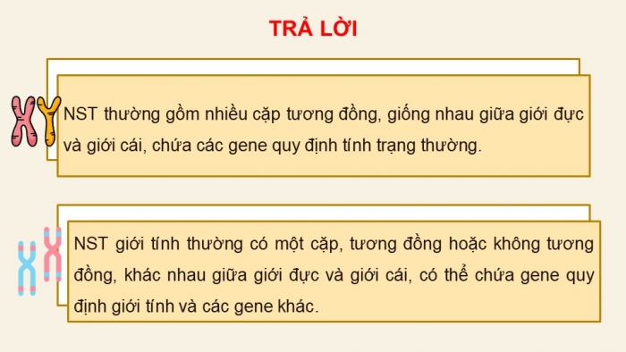 Giáo án điện tử KHTN 9 kết nối - Phân môn Sinh học Bài 44: Nhiễm sắc thể giới tính và cơ chế các định giới tính