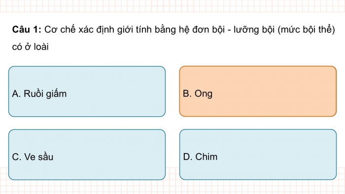 Giáo án điện tử KHTN 9 kết nối - Phân môn Sinh học Bài Ôn tập giữa học kì 2