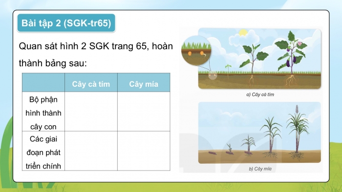 Giáo án điện tử Khoa học 5 kết nối Bài 17: Ôn tập chủ đề Thực vật và động vật