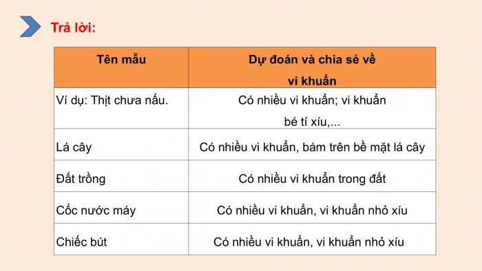 Giáo án điện tử Khoa học 5 kết nối Bài 18: Vi khuẩn xung quanh chúng ta