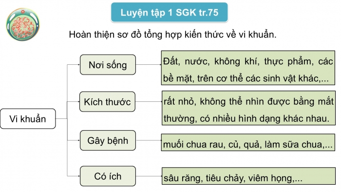 Giáo án điện tử Khoa học 5 kết nối Bài 21: Ôn tập chủ đề Vi khuẩn