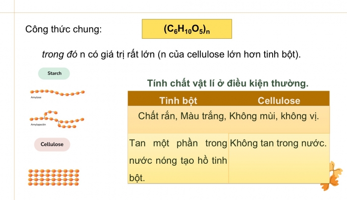 Giáo án điện tử KHTN 9 cánh diều - Phân môn Hoá học Bài 27: Tinh bột và cellulose