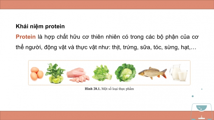 Giáo án điện tử KHTN 9 cánh diều - Phân môn Hoá học Bài 28: Protein