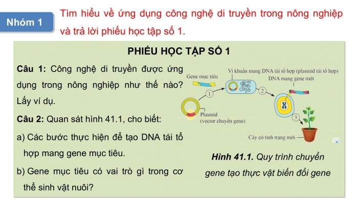 Giáo án điện tử KHTN 9 cánh diều - Phân môn Sinh học Bài 41: Ứng dụng công nghệ di truyền vào đời sống