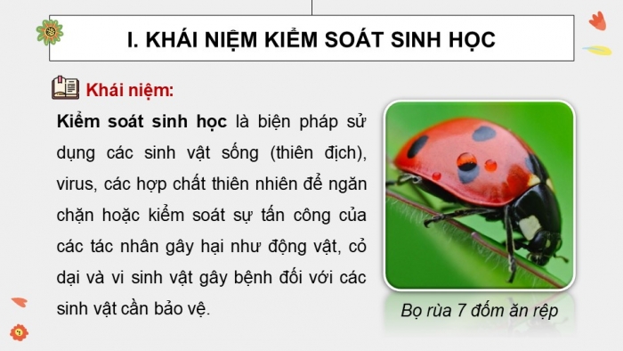 Giáo án điện tử chuyên đề Sinh học 12 cánh diều Bài 5: Khái niệm và vai trò của kiểm soát sinh học