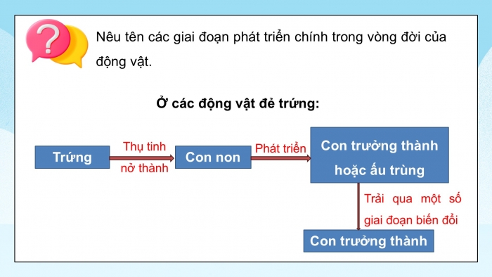 Giáo án điện tử Khoa học 5 chân trời Bài 16: Sự lớn lên và phát triển của động vật