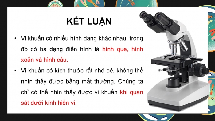 Giáo án điện tử Khoa học 5 chân trời Bài 18: Vi khuẩn quanh ta