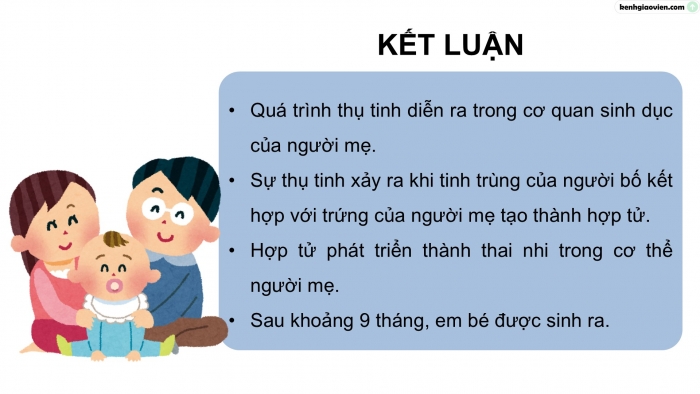 Giáo án điện tử Khoa học 5 chân trời Bài 23: Sự sinh sản ở người