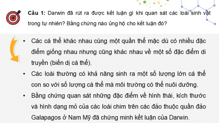 Giáo án điện tử Sinh học 12 kết nối Bài 20: Quan niệm của Darwin về chọn lọc tự nhiên và hình thành loài