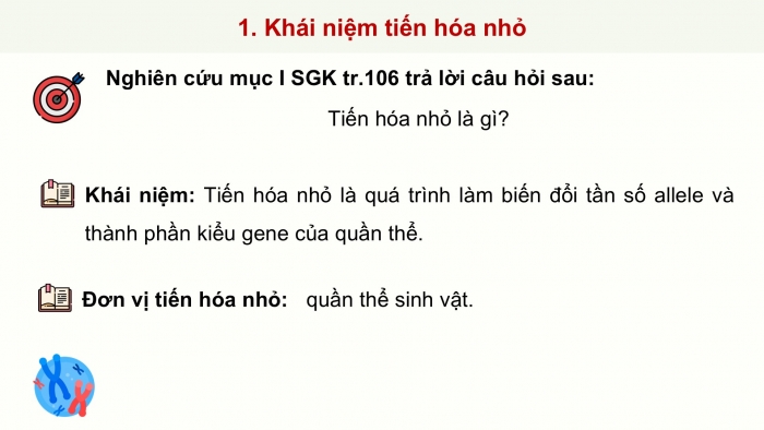 Giáo án điện tử Sinh học 12 kết nối Bài 21: Học thuyết tiến hoá tổng hợp hiện đại