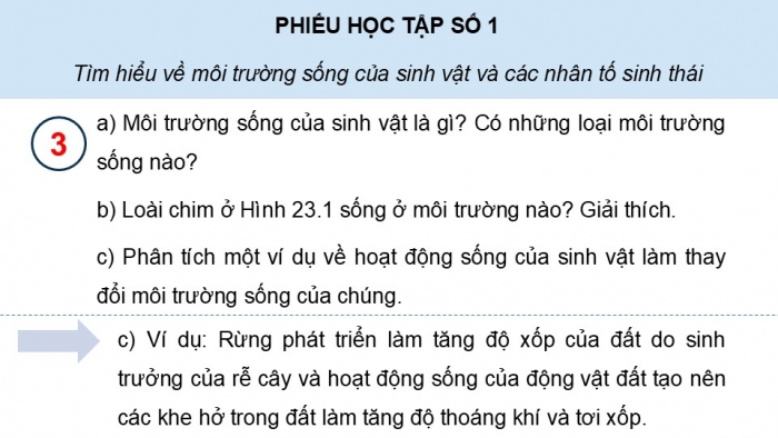 Giáo án điện tử Sinh học 12 kết nối Bài 23: Môi trường và các nhân tố sinh thái