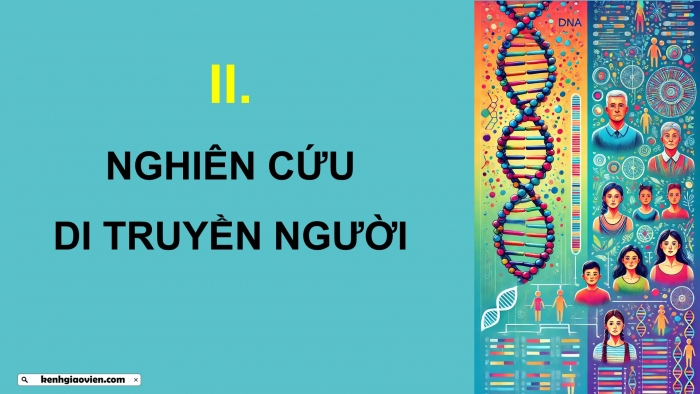 Giáo án điện tử Sinh học 12 chân trời Bài 14: Di truyền học người