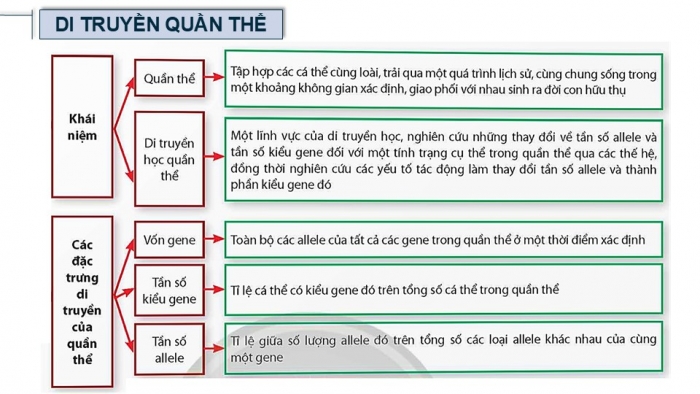 Giáo án điện tử Sinh học 12 chân trời Bài Ôn tập Chương 3