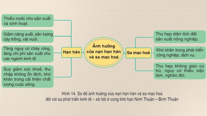 Giáo án điện tử Địa lí 9 cánh diều Bài 14: Thực hành Phân tích ảnh hưởng của nạn hạn hán và sa mạc hóa ở vùng khô hạn Ninh Thuận - Bình Thuận