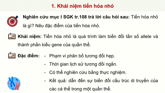 Giáo án điện tử Sinh học 12 chân trời Bài 17: Thuyết tiến hoá tổng hợp hiện đại