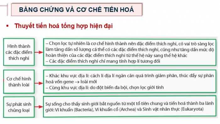 Giáo án điện tử Sinh học 12 chân trời Bài Ôn tập Chương 4