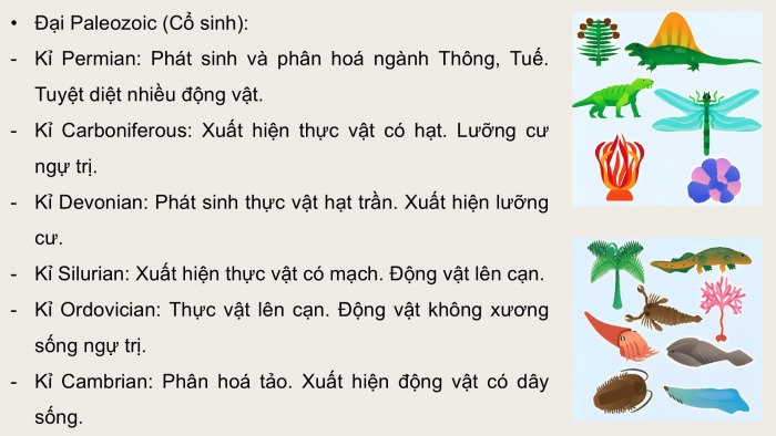 Giáo án điện tử Sinh học 12 chân trời Bài 19: Sự phát triển sự sống