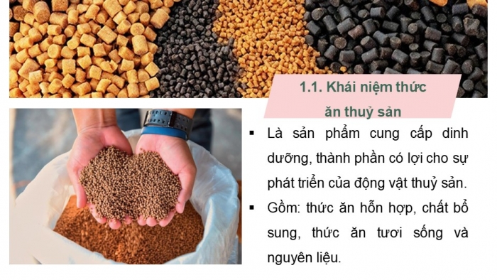 Giáo án điện tử Công nghệ 12 Lâm nghiệp Thủy sản Cánh diều Bài 16: Thành phần dinh dưỡng của thức ăn thủy sản