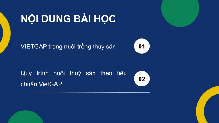 Giáo án điện tử Công nghệ 12 Lâm nghiệp Thủy sản Cánh diều Bài 19: Quy trình nuôi thủy sản theo tiêu chuẩn VietGAP