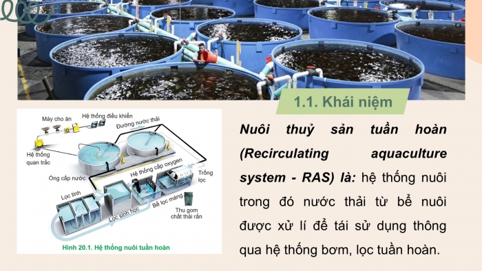 Giáo án điện tử Công nghệ 12 Lâm nghiệp Thủy sản Cánh diều Bài 20: Ứng dụng công nghệ cao trong nuôi trồng thủy sản