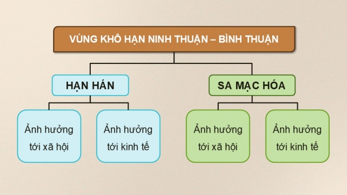 Giáo án điện tử Địa lí 9 chân trời Bài 16: Thực hành Phân tích ảnh hướng của hạn hán và sa mạc hóa đối với phát triển kinh tế - xã hội ở vùng khô hạn Ninh Thuận - Bình Thuận