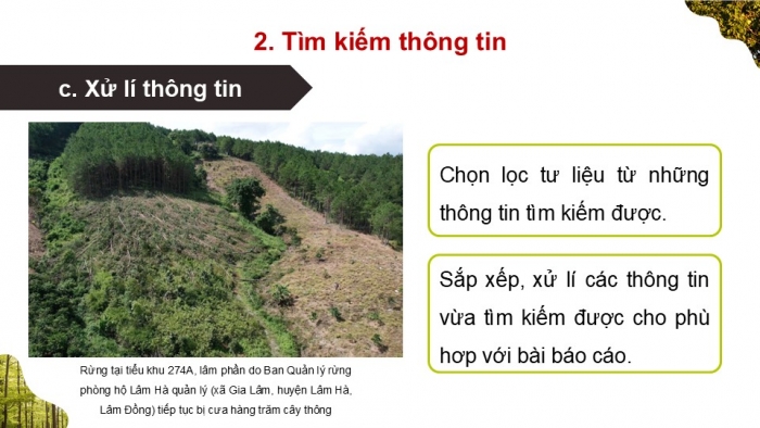 Giáo án điện tử Địa lí 9 chân trời Bài 18: Thực hành Vấn đề môi trường trong phát triển kinh tế - xã hội ở Tây Nguyên