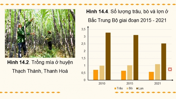 Giáo án điện tử Địa lí 9 kết nối Bài 14: Bắc Trung Bộ (P2)