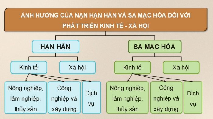 Giáo án điện tử Địa lí 9 kết nối Bài 16: Thực hành Phân tích ảnh hưởng của hạn hán và sa mạc hóa đối với phát triển kinh tế - xã hội ở vùng khô hạn Ninh Thuận – Bình Thuận