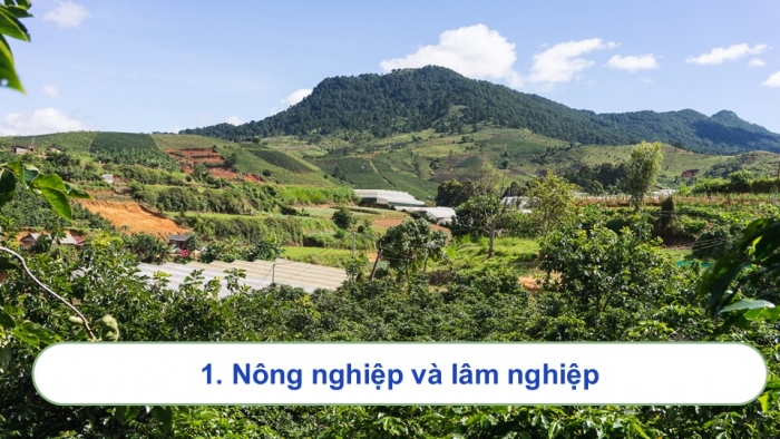 Giáo án điện tử Địa lí 9 cánh diều Bài 15: Vùng Tây Nguyên (P2)