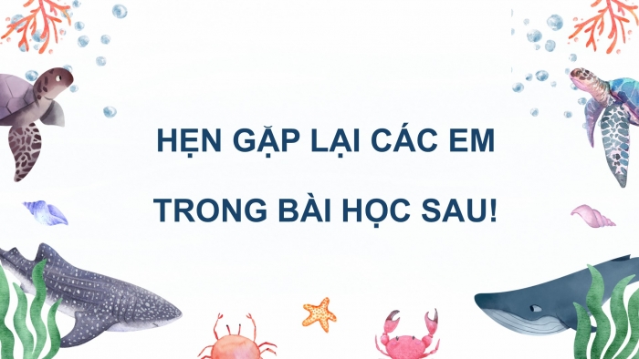 Giáo án điện tử Tiếng Việt 2 cánh diều Bài 14: Nghe – trao đổi về nội dung bài hát Ba ngọn nến lung linh