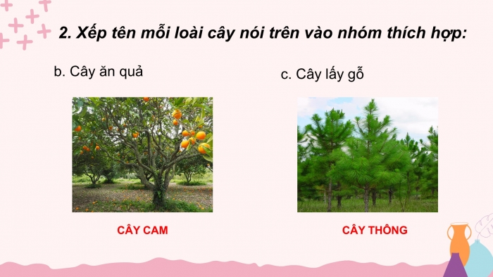 Giáo án điện tử Tiếng Việt 2 cánh diều Bài 21: Tiếng vườn