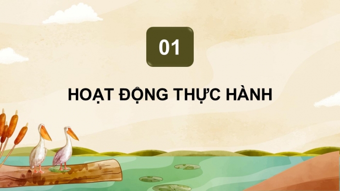 Giáo án điện tử Địa lí 12 chân trời Bài 19: Thực hành Vẽ biểu đồ, nhận xét và giải thích tình hình phát triển ngành công nghiệp