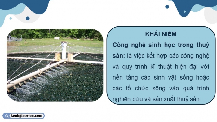 Giáo án điện tử chuyên đề Công nghệ 12 Lâm nghiệp Thuỷ sản Cánh diều Bài 4: Vai trò, thành tựu và triển vọng của công nghệ sinh học trong thuỷ sản