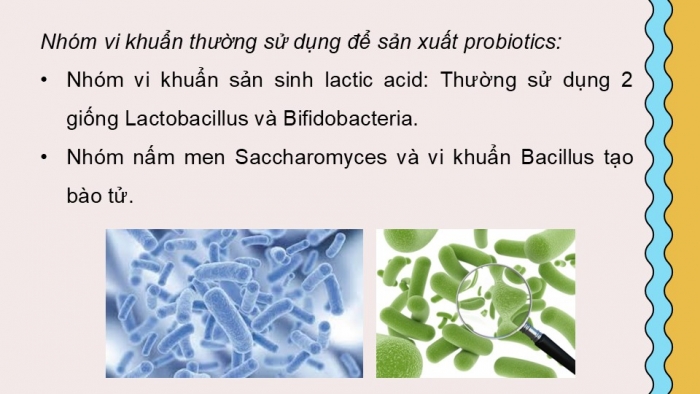 Giáo án điện tử chuyên đề Công nghệ 12 Lâm nghiệp Thuỷ sản Cánh diều Bài 6: Ứng dụng công nghệ sinh học trong sản xuất thức ăn thuỷ sản