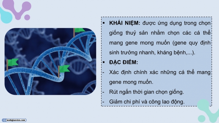 Giáo án điện tử Công nghệ 12 Lâm nghiệp - Thủy sản Kết nối Bài 15: Ứng dụng công nghệ sinh học trong chọn và nhân giống thủy sản