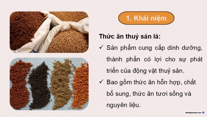 Giáo án điện tử Công nghệ 12 Lâm nghiệp - Thủy sản Kết nối Bài 16: Thức ăn thủy sản