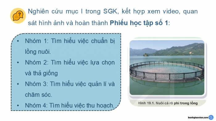 Giáo án điện tử Công nghệ 12 Lâm nghiệp - Thủy sản Kết nối Bài 19: Công nghệ nuôi một số loài thủy sản phổ biến ở Việt Nam