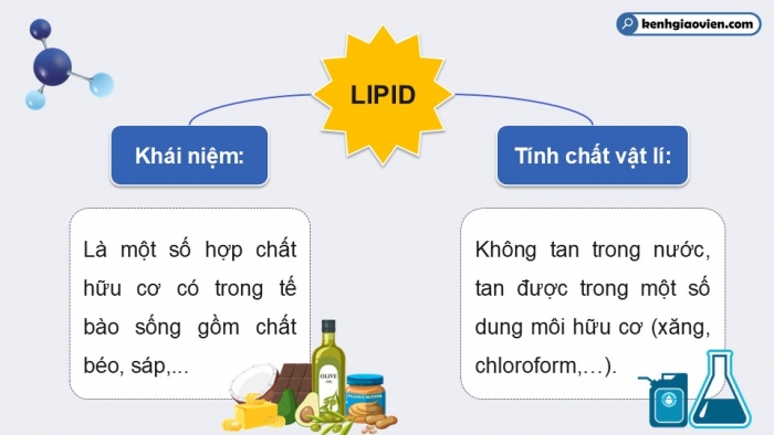 Giáo án điện tử KHTN 9 chân trời - Phân môn Hoá học Bài 26: Lipid và chất béo