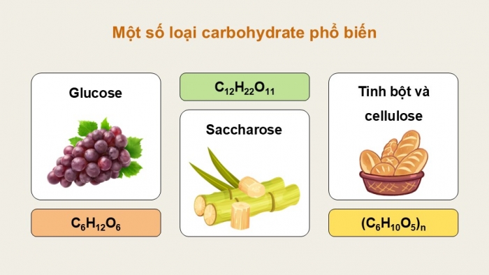 Giáo án điện tử KHTN 9 chân trời - Phân môn Hoá học Bài 27: Glucose và saccharose