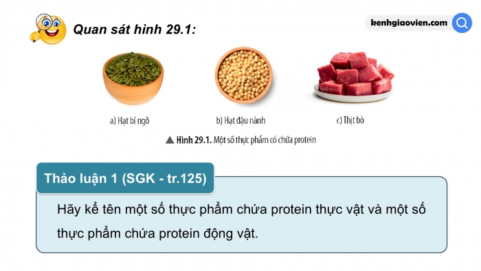 Giáo án điện tử KHTN 9 chân trời - Phân môn Hoá học Bài 29: Protein